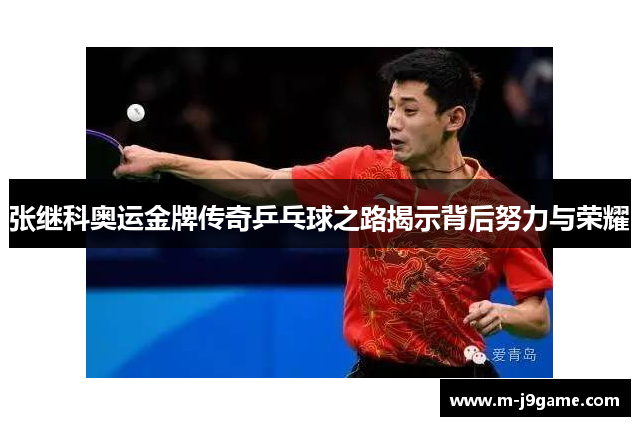 张继科奥运金牌传奇乒乓球之路揭示背后努力与荣耀