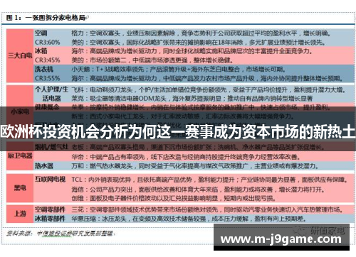 欧洲杯投资机会分析为何这一赛事成为资本市场的新热土