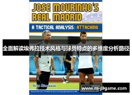 全面解读埃弗拉技术风格与球员特点的多维度分析路径
