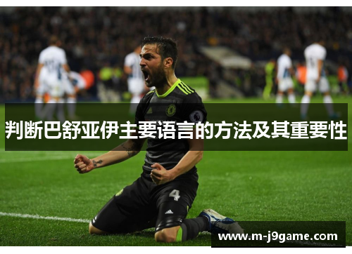 判断巴舒亚伊主要语言的方法及其重要性